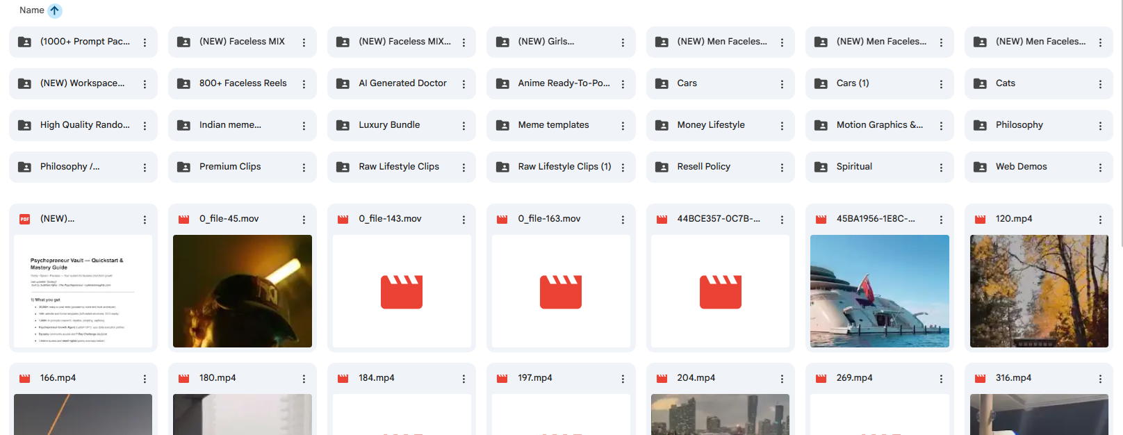 Vault folders & assets